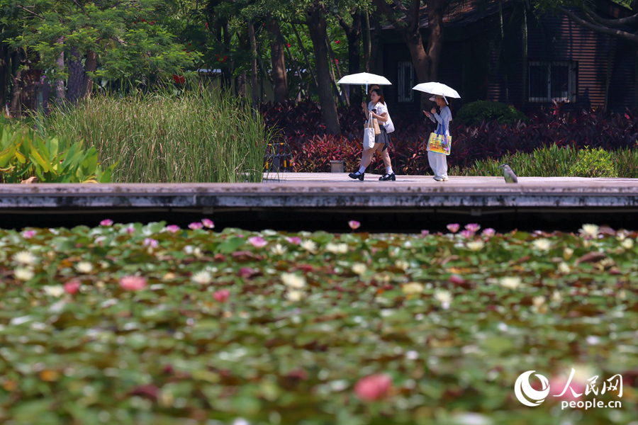 市民游客漫步于蓮池廊道。人民網(wǎng)記者 陳博攝