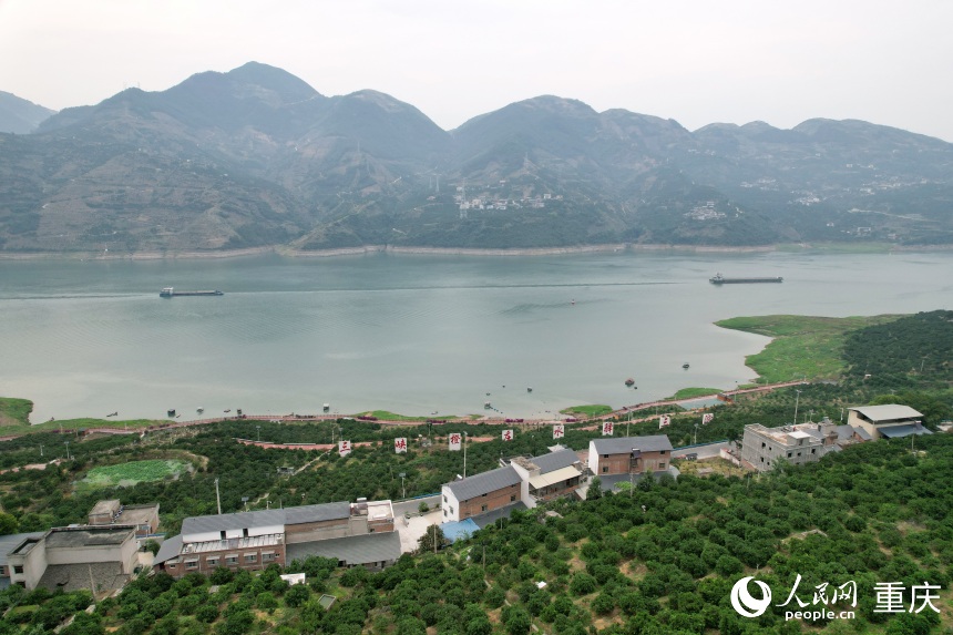 三沱村正以“三峽橙莊”建設(shè)為契機，描繪鄉(xiāng)村振興新圖景。人民網(wǎng)記者 劉政寧攝