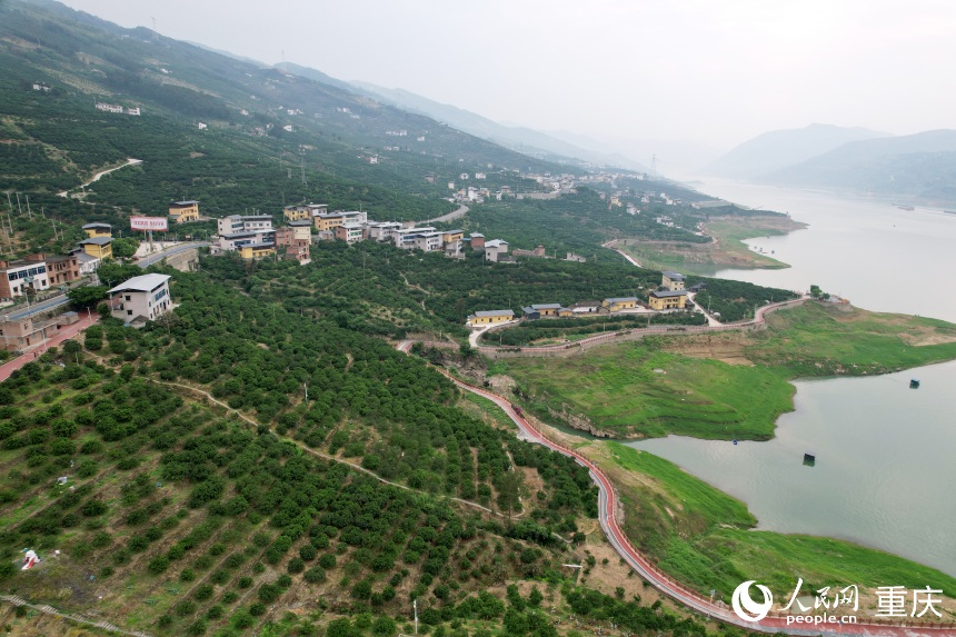 豐都縣安坪鎮(zhèn)三沱村。人民網(wǎng)記者 劉政寧攝