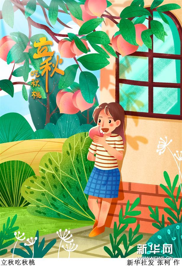 （圖表&middot;插畫(huà)）［二十四節(jié)氣&middot;立秋］立秋吃秋桃